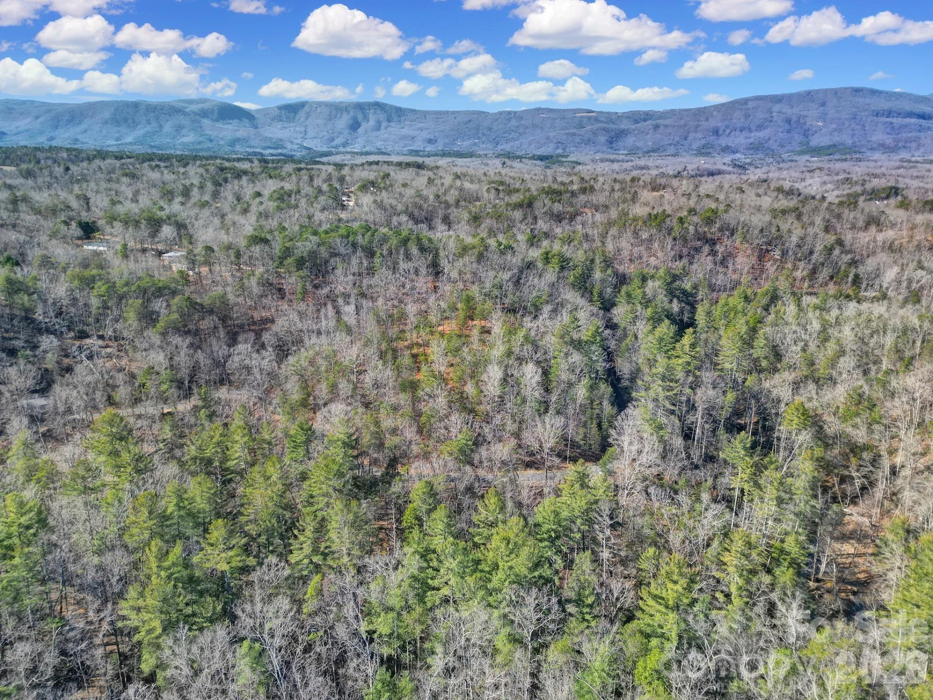 Lot 19 Ostin Creek Trail #19 - Photo 9