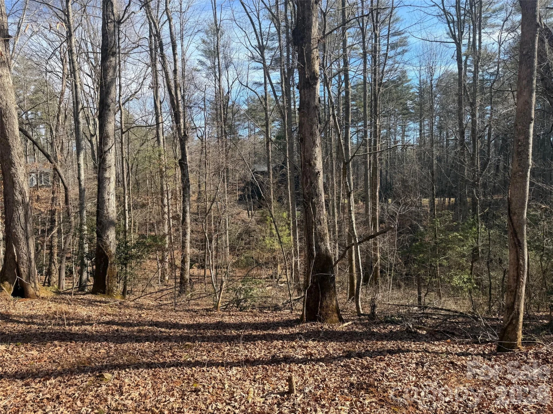 Lot 52 High Hemlock Trail #52 - Photo 4