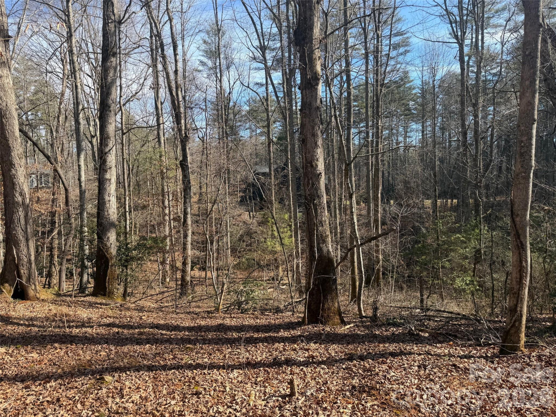 Lot 52 High Hemlock Trail #52 - Photo 5