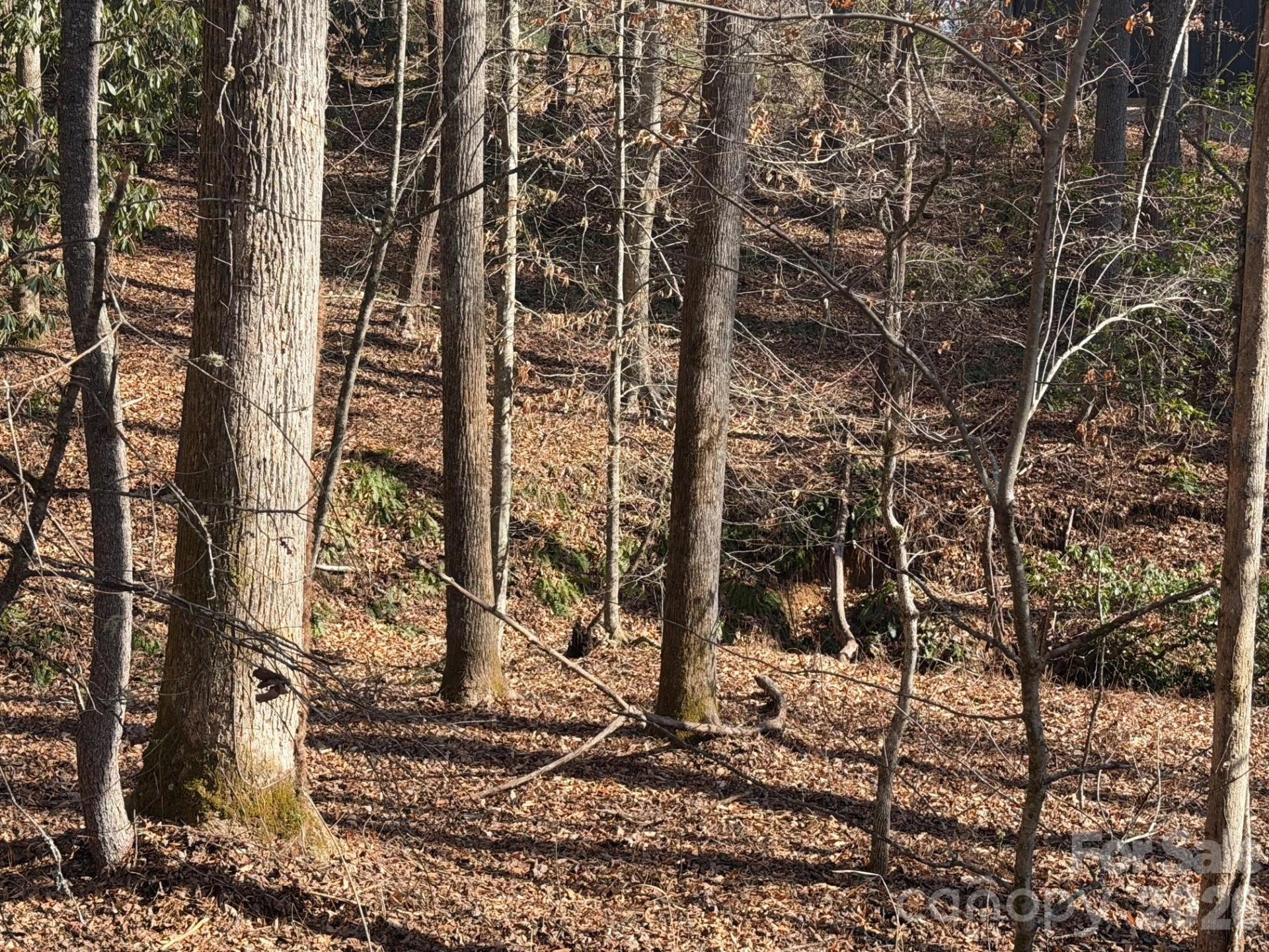 Lot 52 High Hemlock Trail #52 - Photo 6