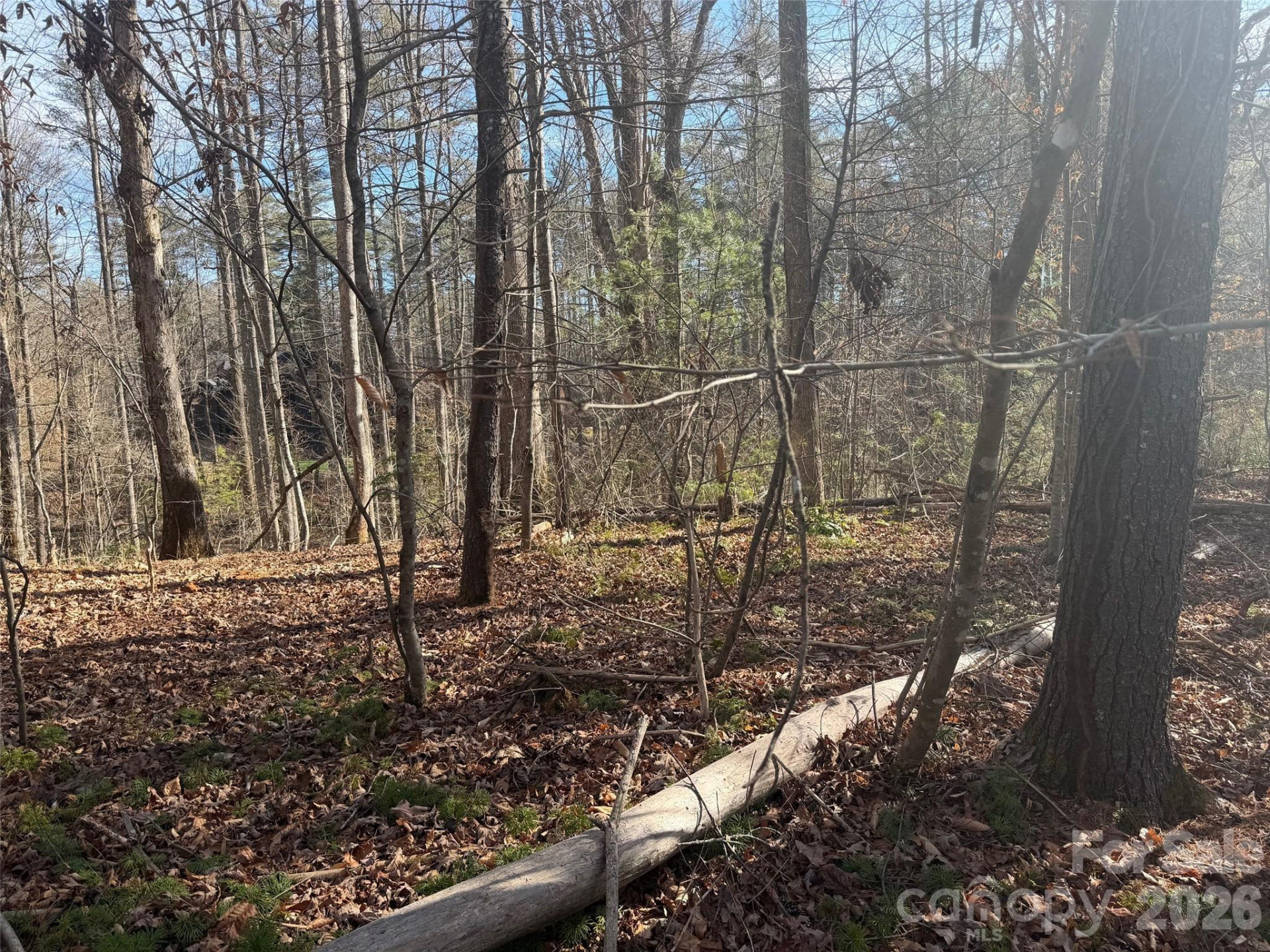 Lot 52 High Hemlock Trail #52 - Photo 7