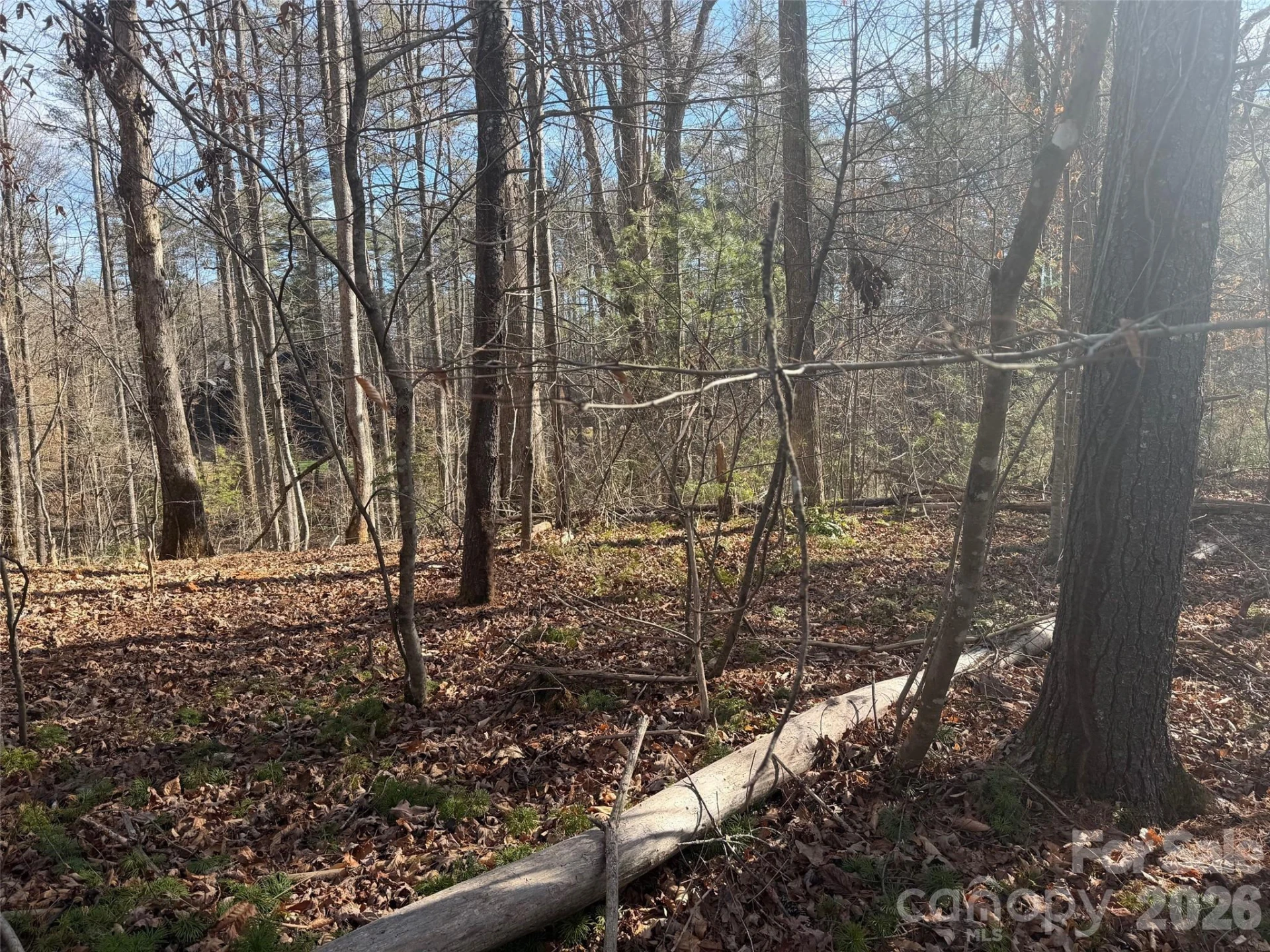 Lot 52 High Hemlock Trail #52 - Photo 7
