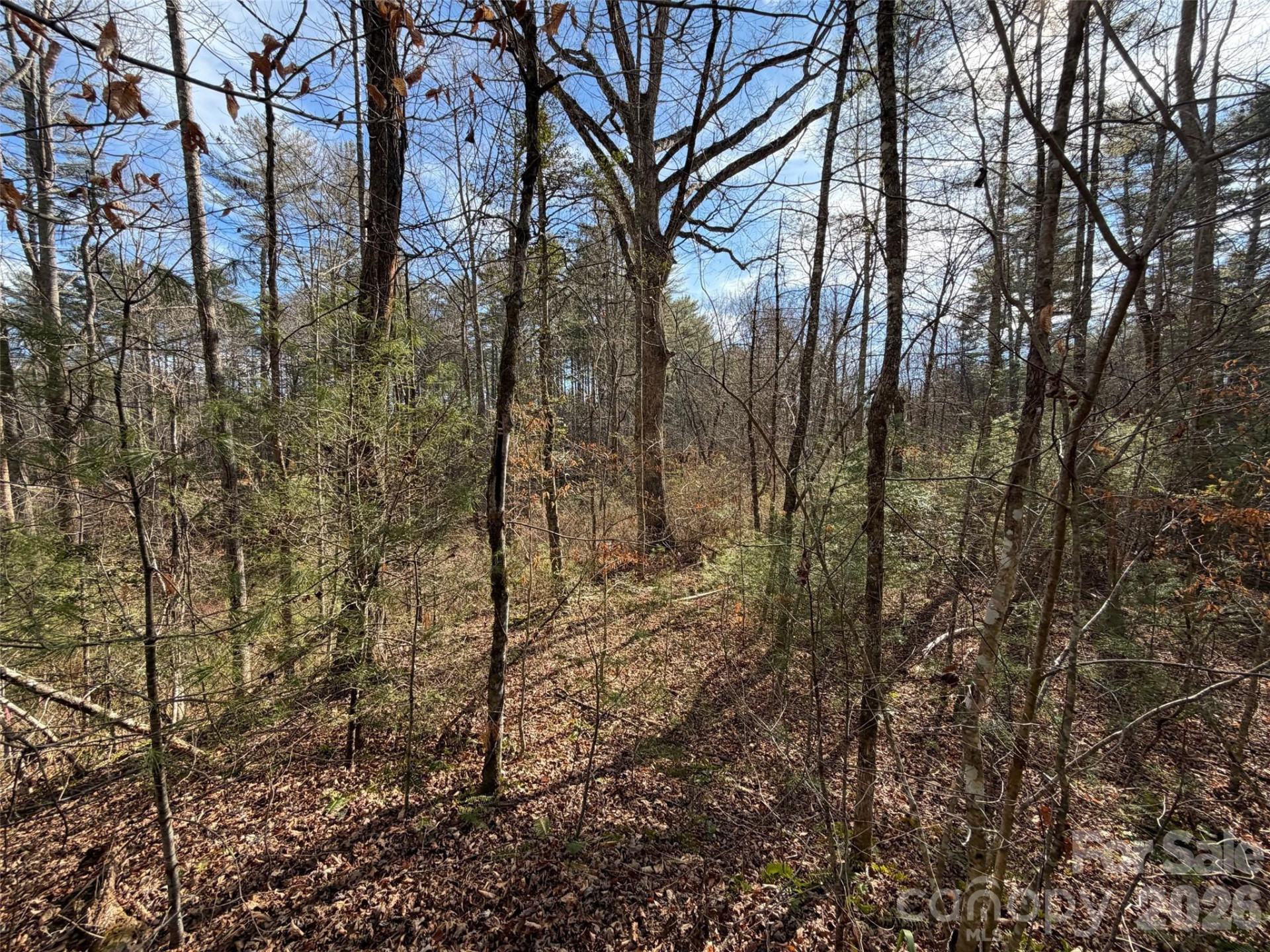 Lot 52 High Hemlock Trail #52 - Photo 8