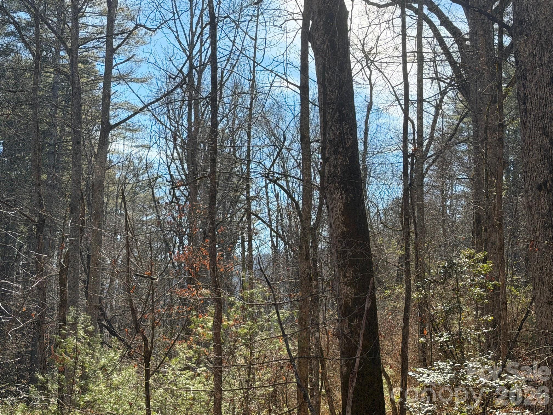 Lot 52 High Hemlock Trail #52 - Photo 10