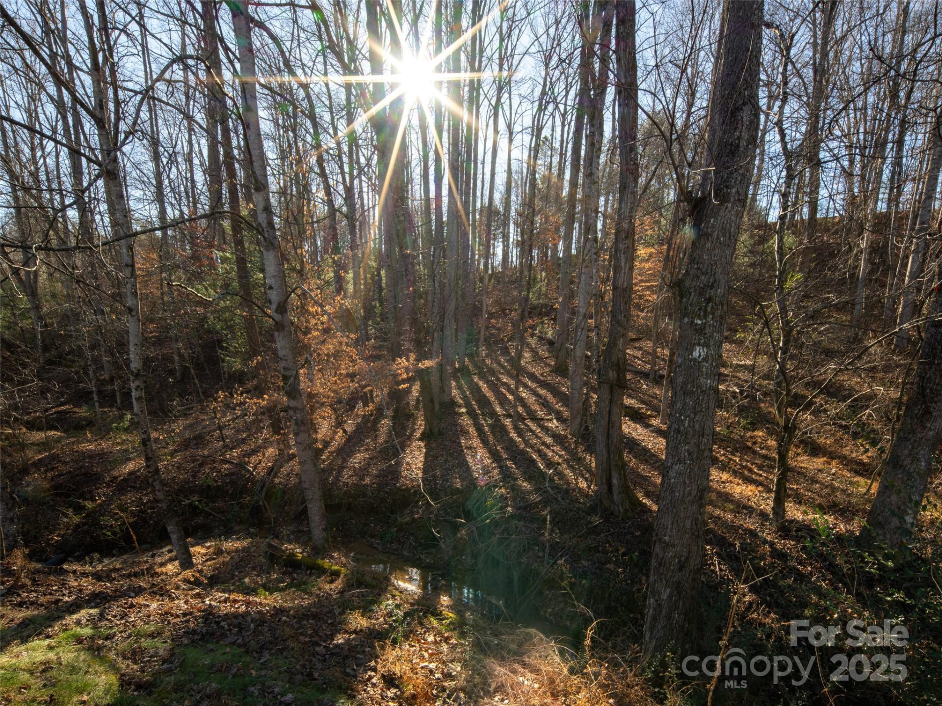 123 Orvis Stone Circle - Photo 30