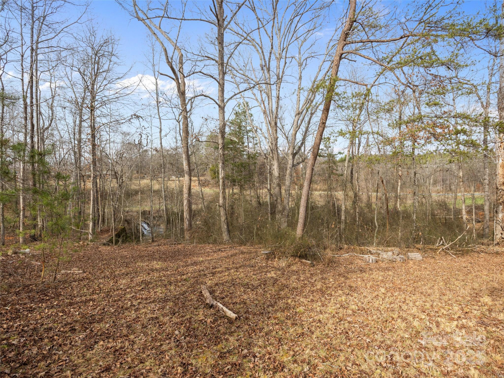 0 Washington Street - Photo 2