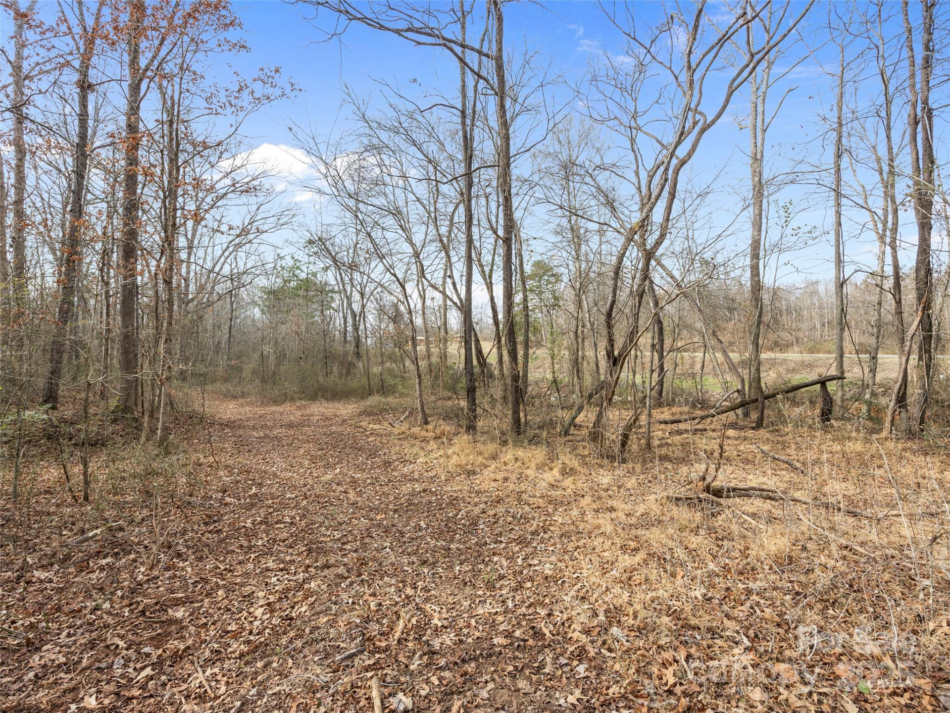 0 Washington Street - Photo 15