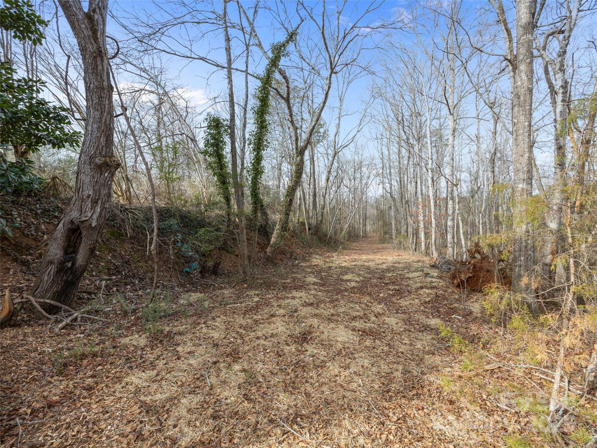 0 Washington Street - Photo 17