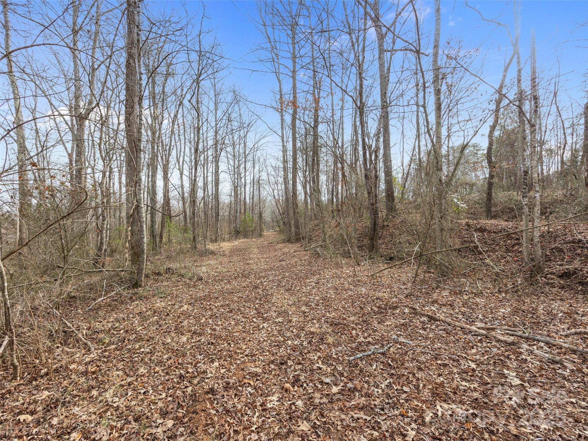 0 Washington Street - Photo 4