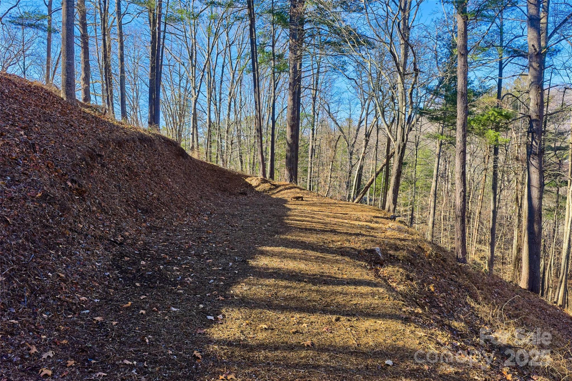 15 Beech Tree Lane - Photo 2