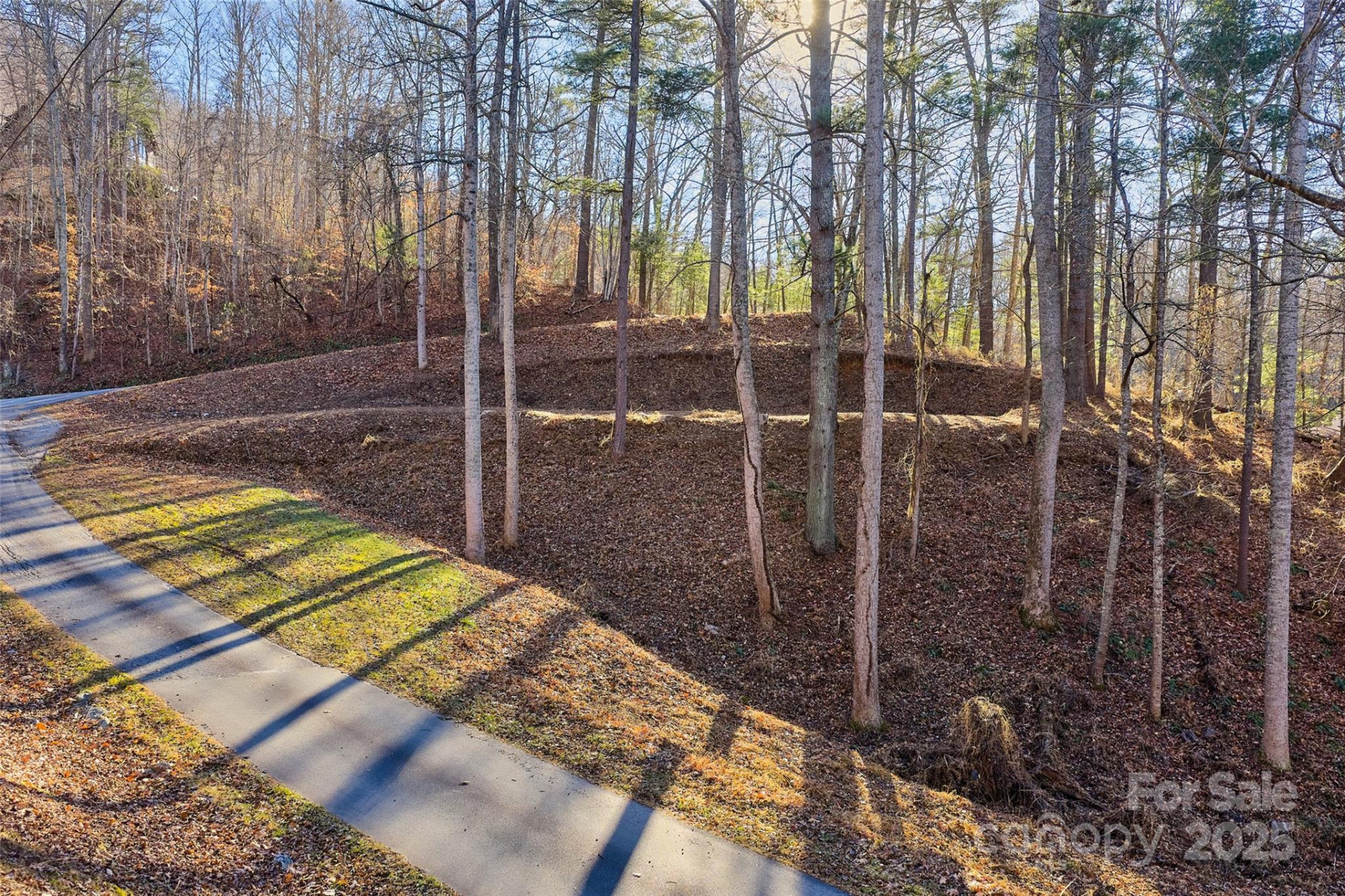 15 Beech Tree Lane - Photo 11