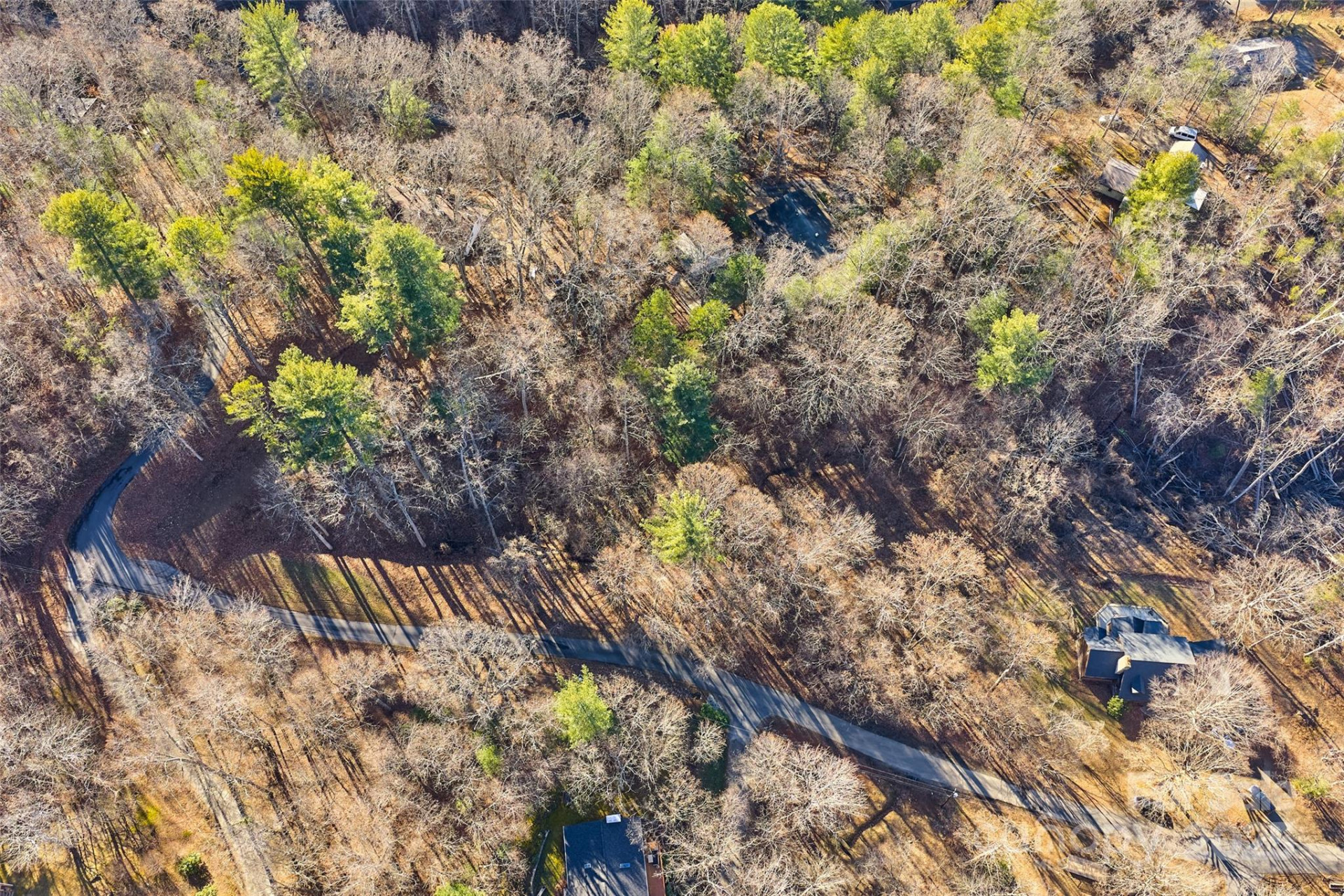 15 Beech Tree Lane - Photo 12