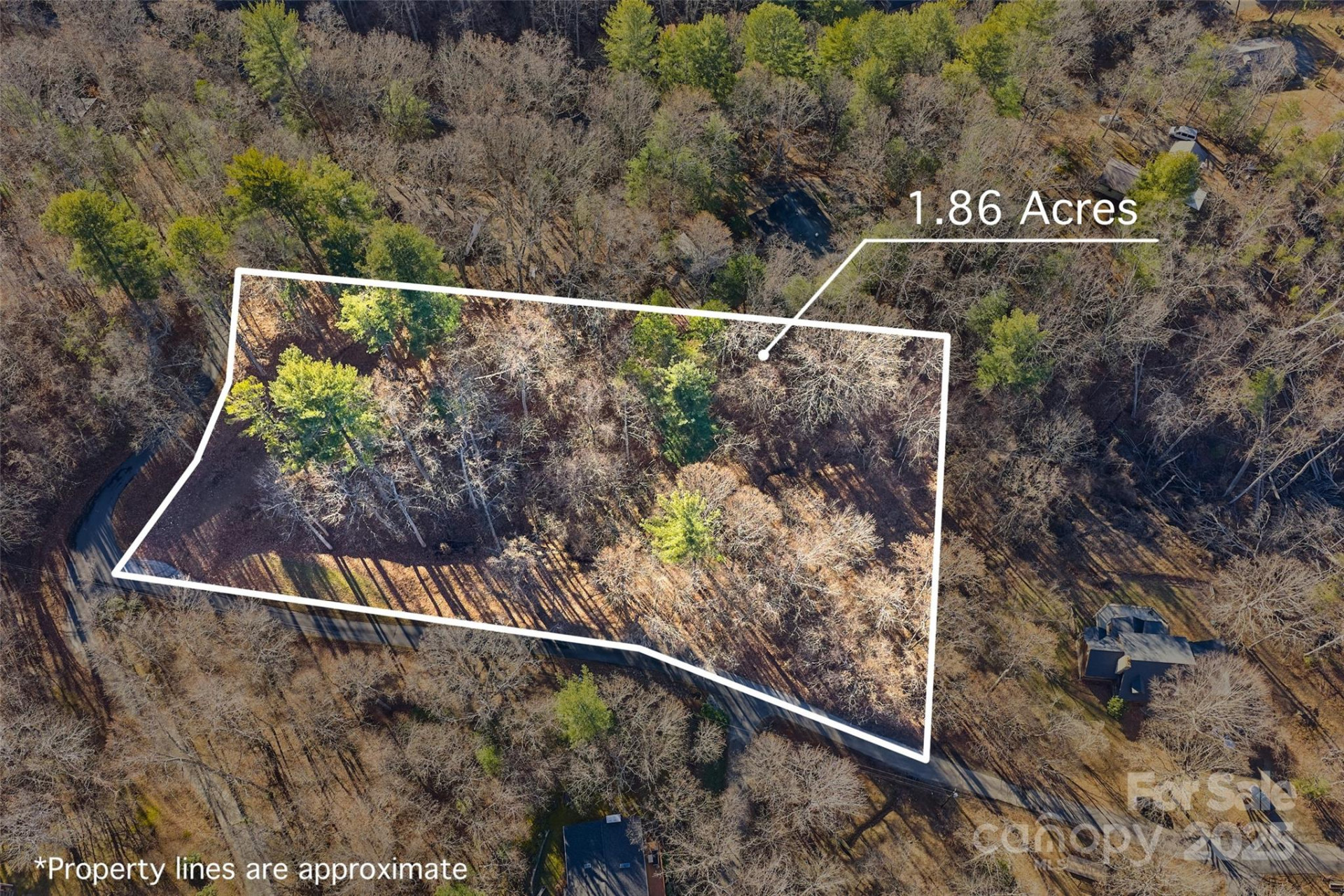 15 Beech Tree Lane - Photo 13