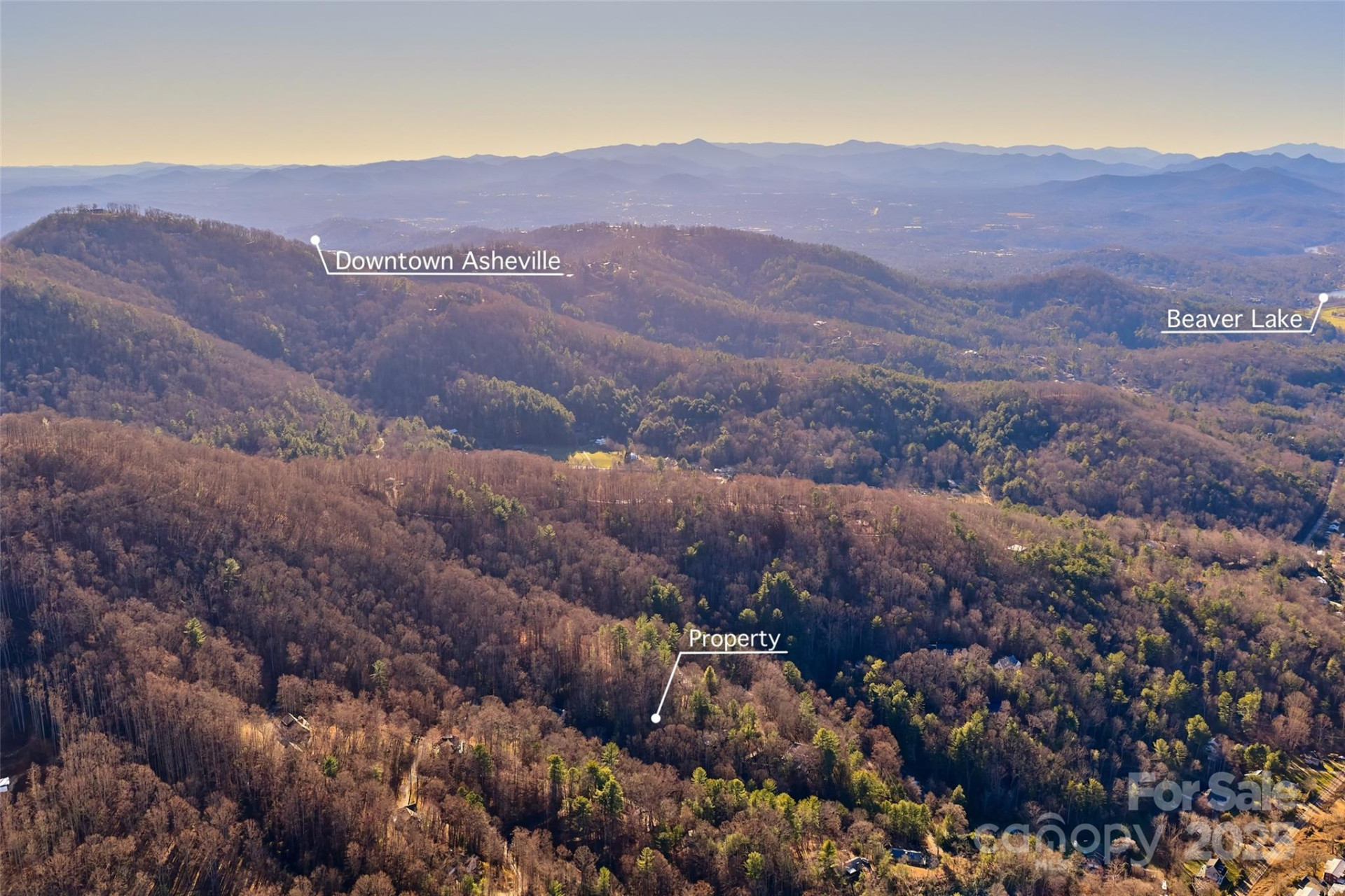 15 Beech Tree Lane - Photo 14