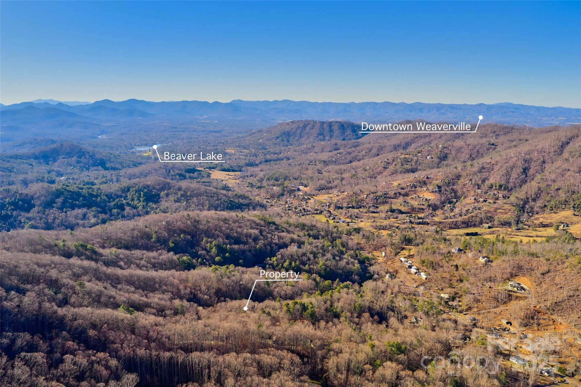 15 Beech Tree Lane - Photo 15