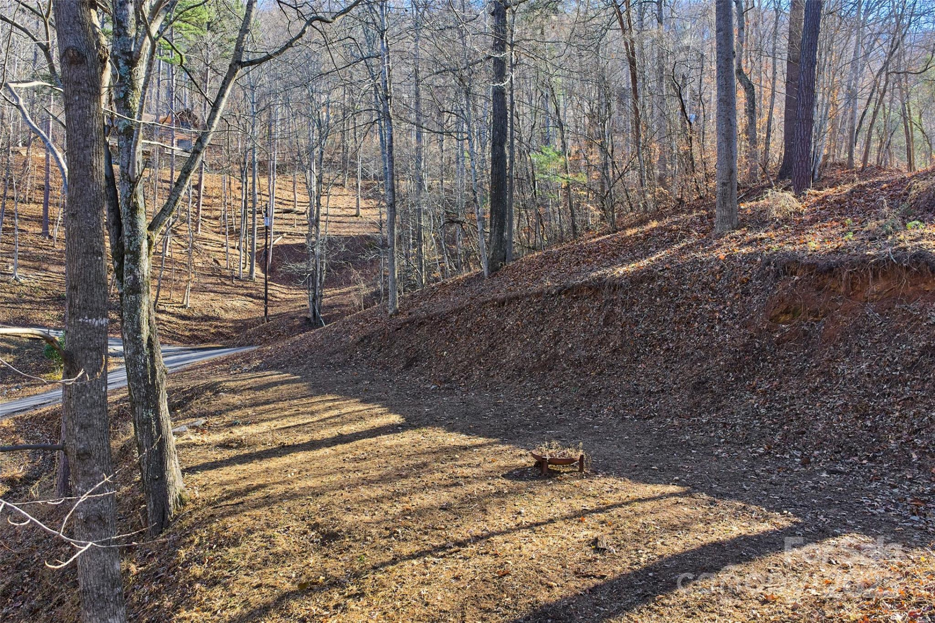 15 Beech Tree Lane - Photo 3