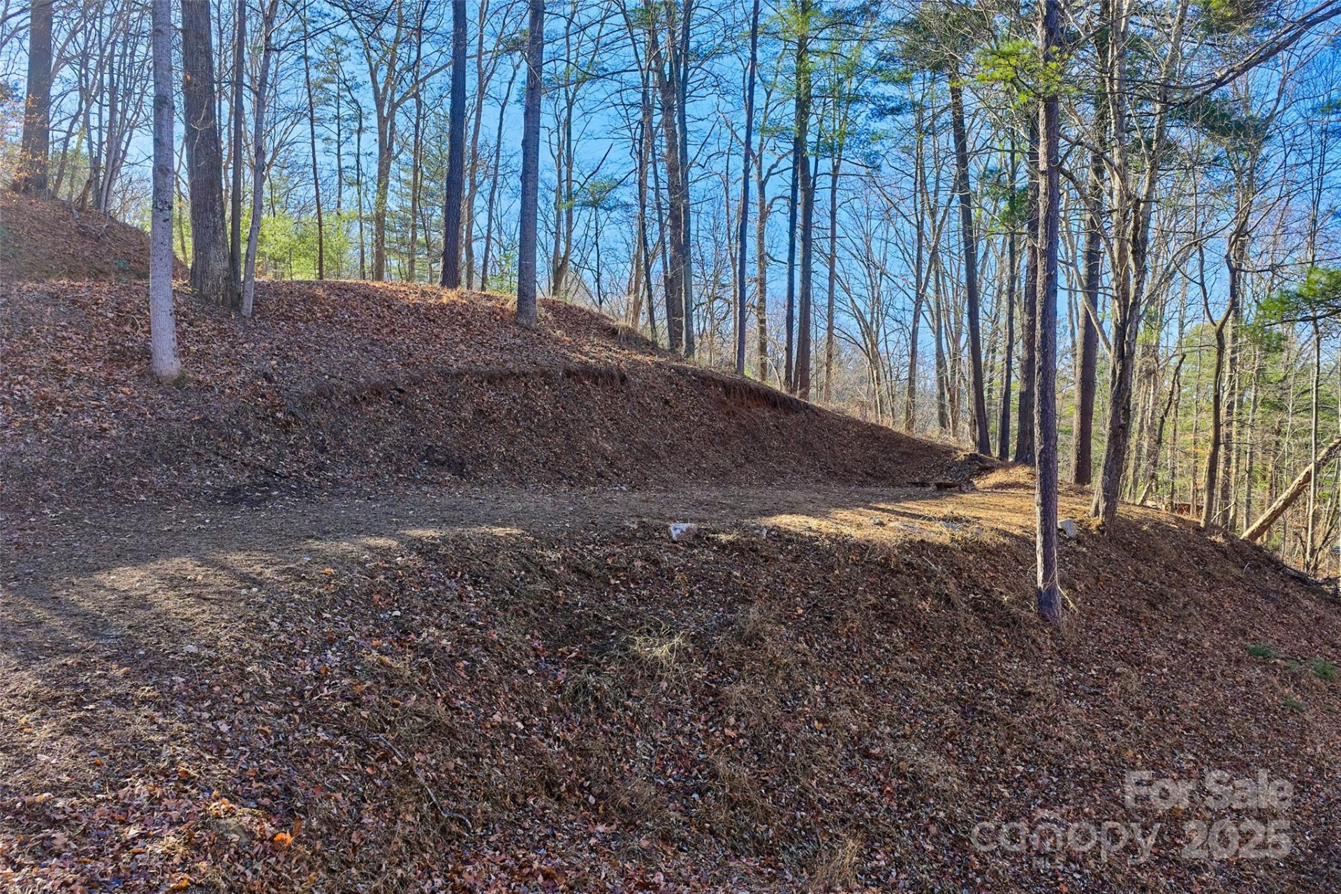 15 Beech Tree Lane - Photo 4