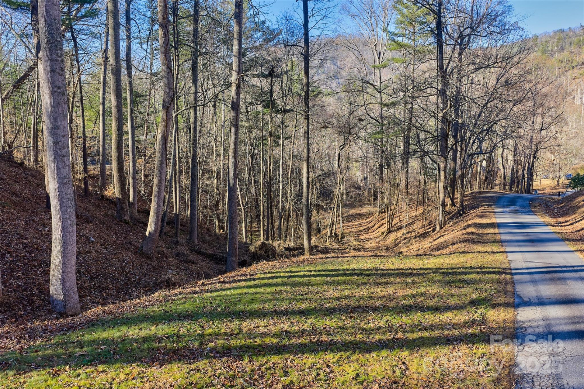 15 Beech Tree Lane - Photo 6