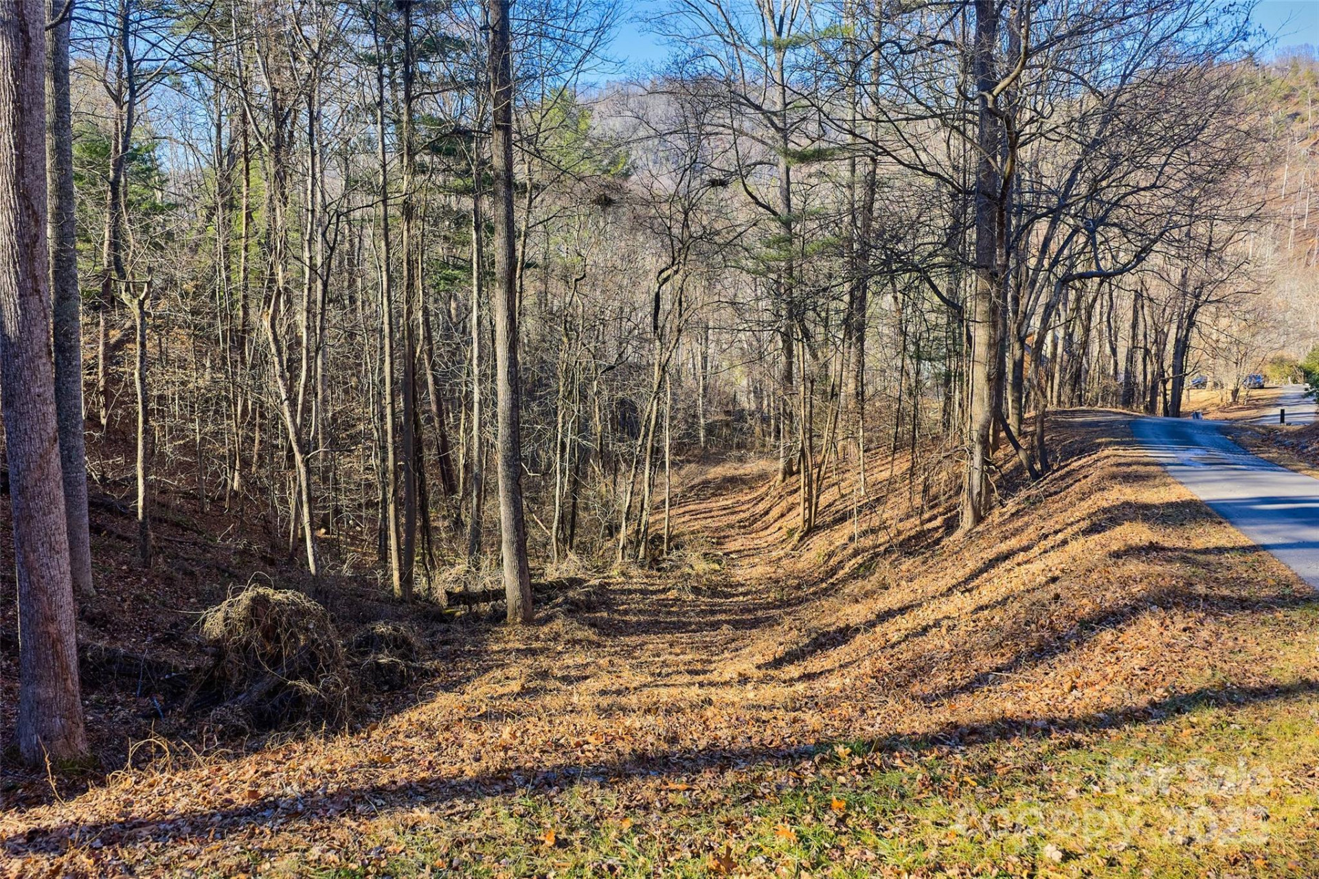 15 Beech Tree Lane - Photo 7