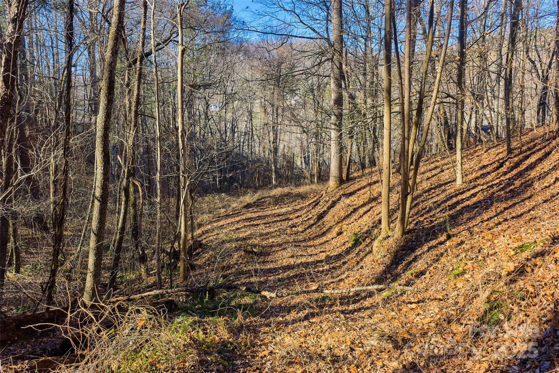 15 Beech Tree Lane - Photo 8