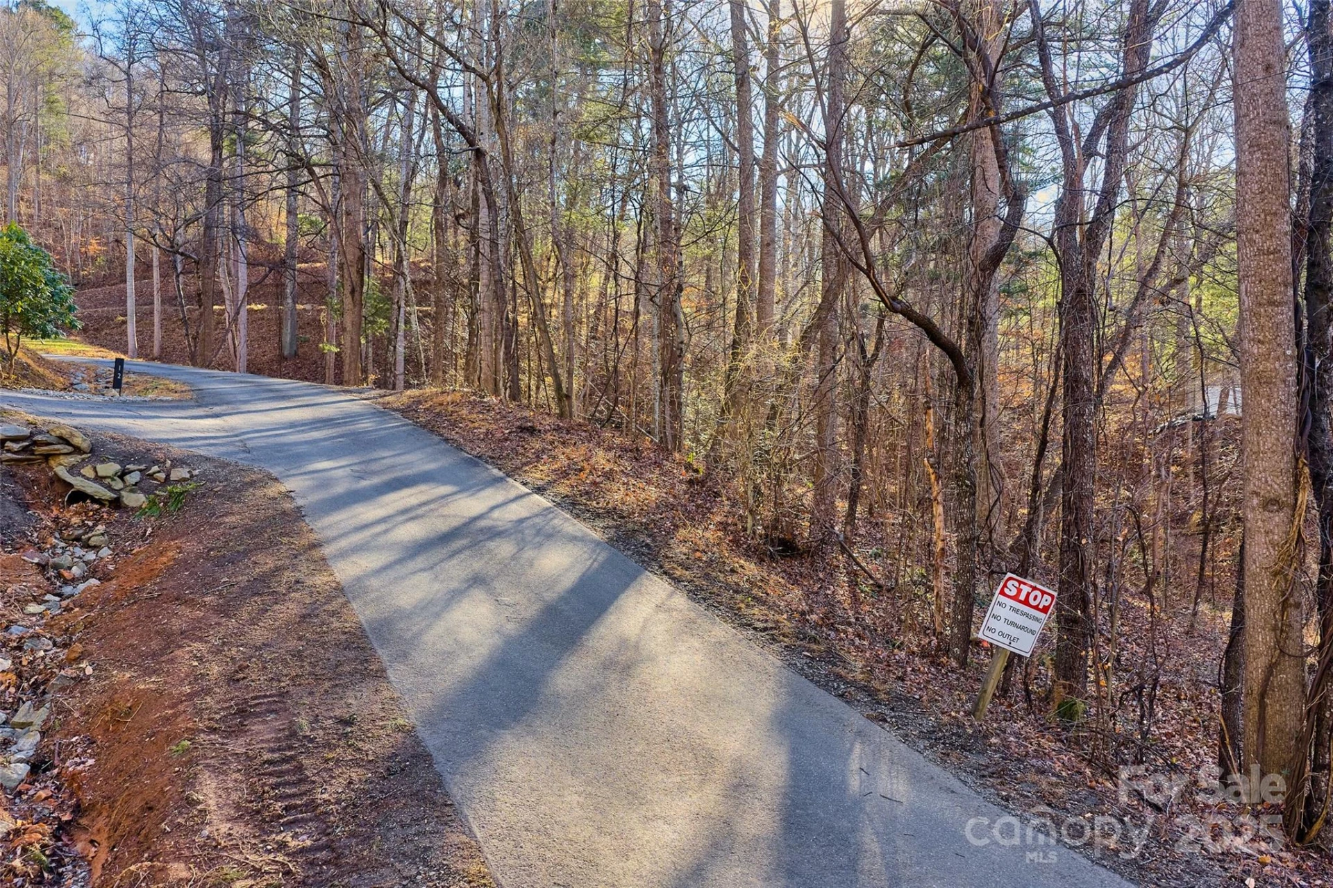 15 Beech Tree Lane - Photo 10