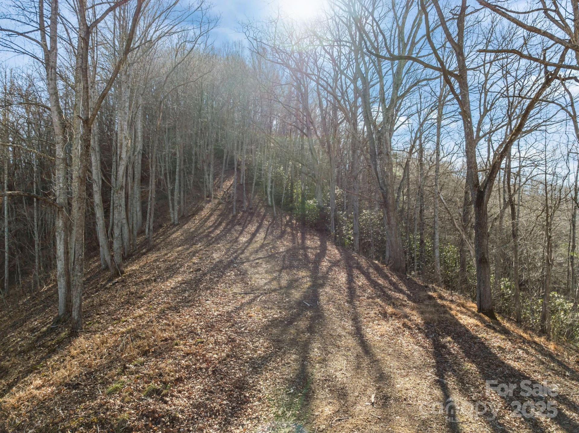 000 Wayward Cove - Photo 13