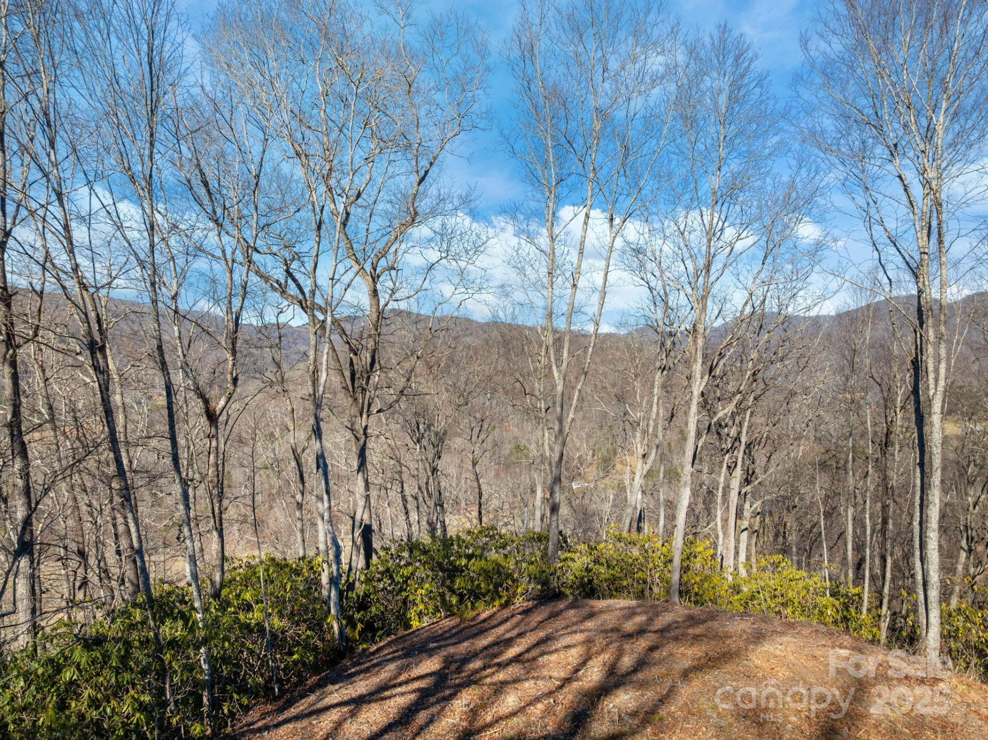 000 Wayward Cove - Photo 14