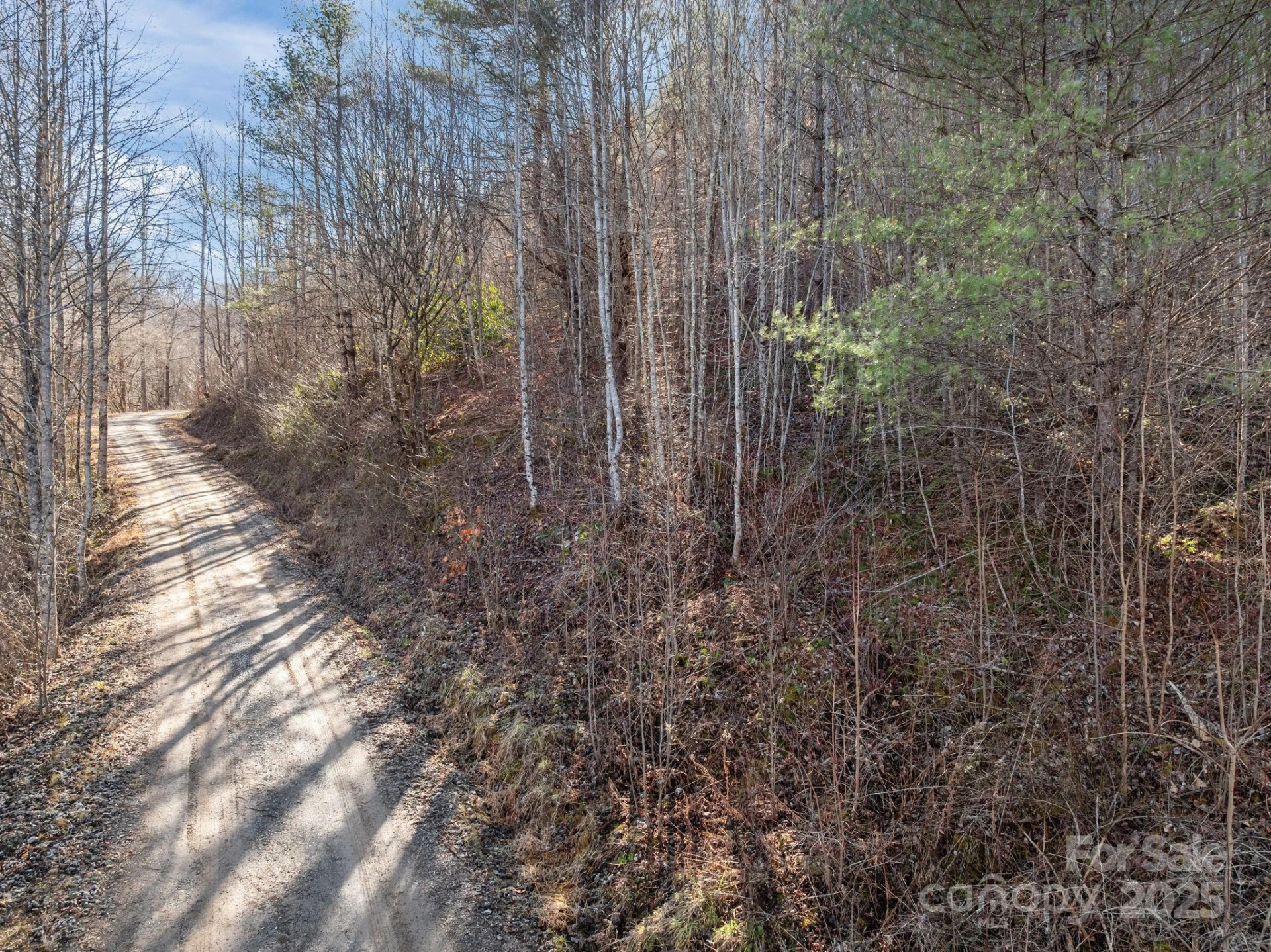 000 Wayward Cove - Photo 15