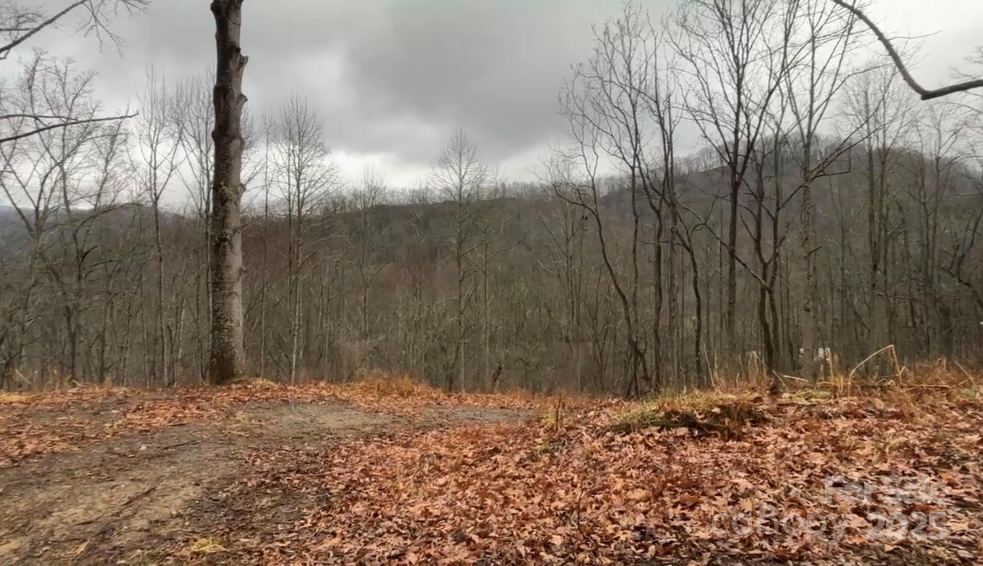 000 Wayward Cove - Photo 16