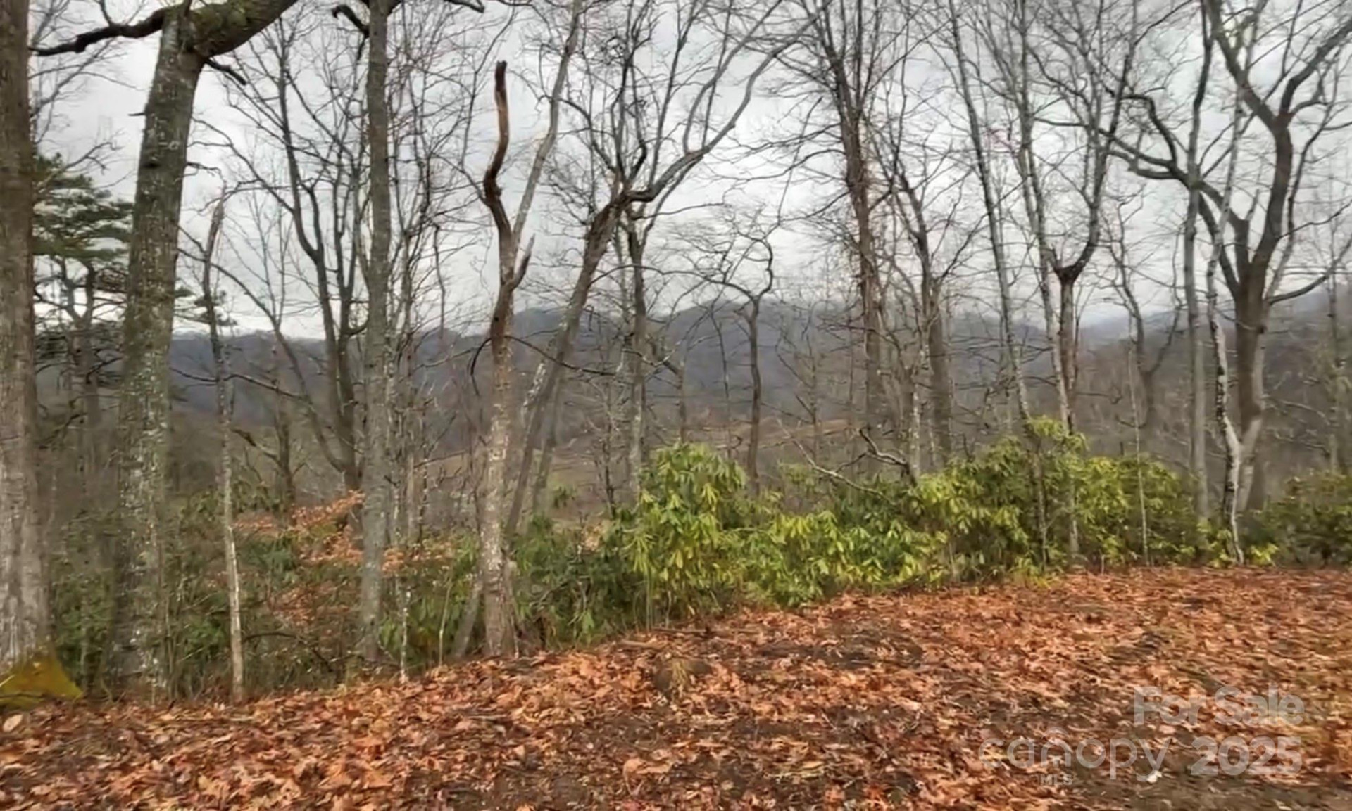 000 Wayward Cove - Photo 17