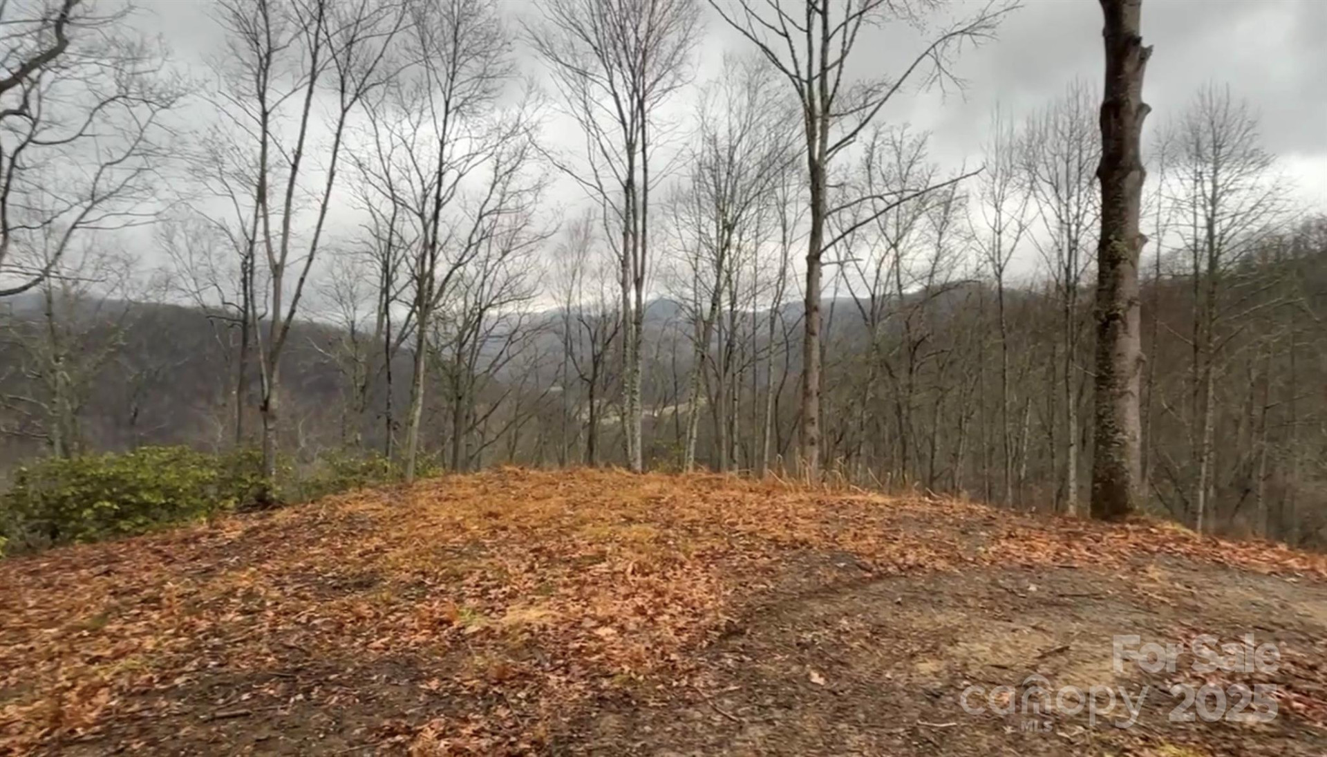 000 Wayward Cove - Photo 18