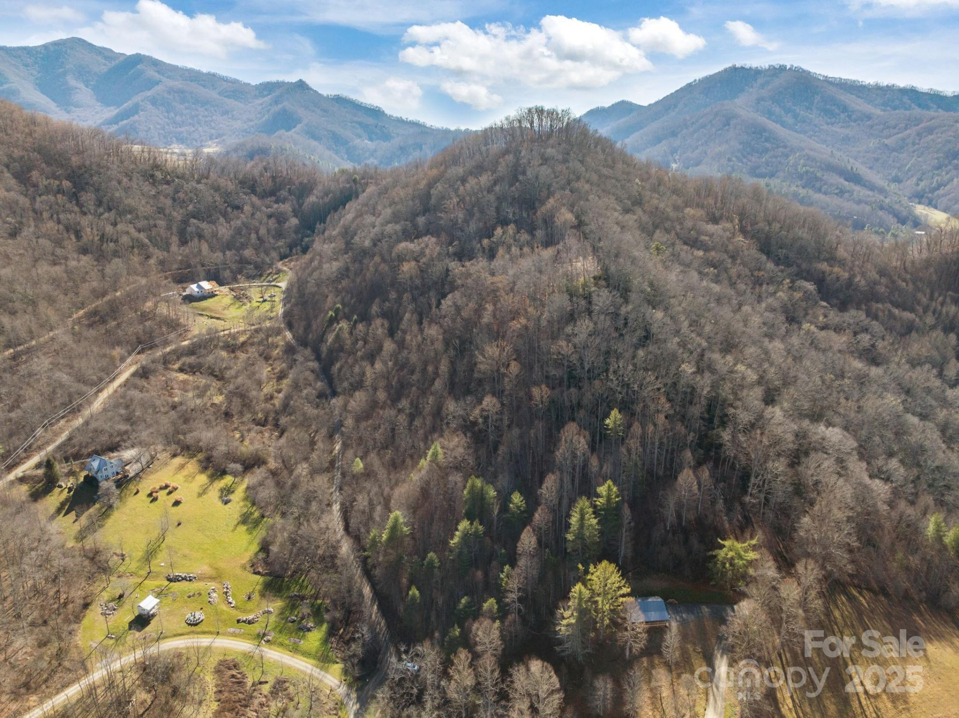 000 Wayward Cove - Photo 3