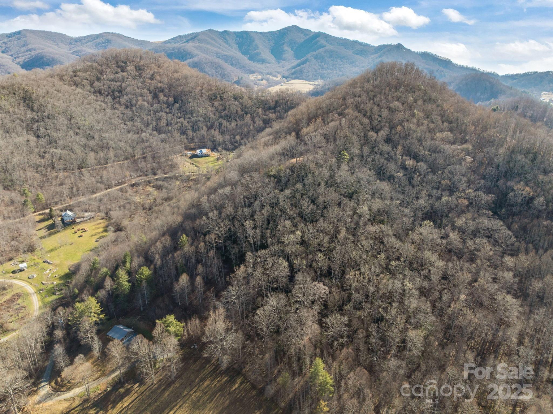 000 Wayward Cove - Photo 4