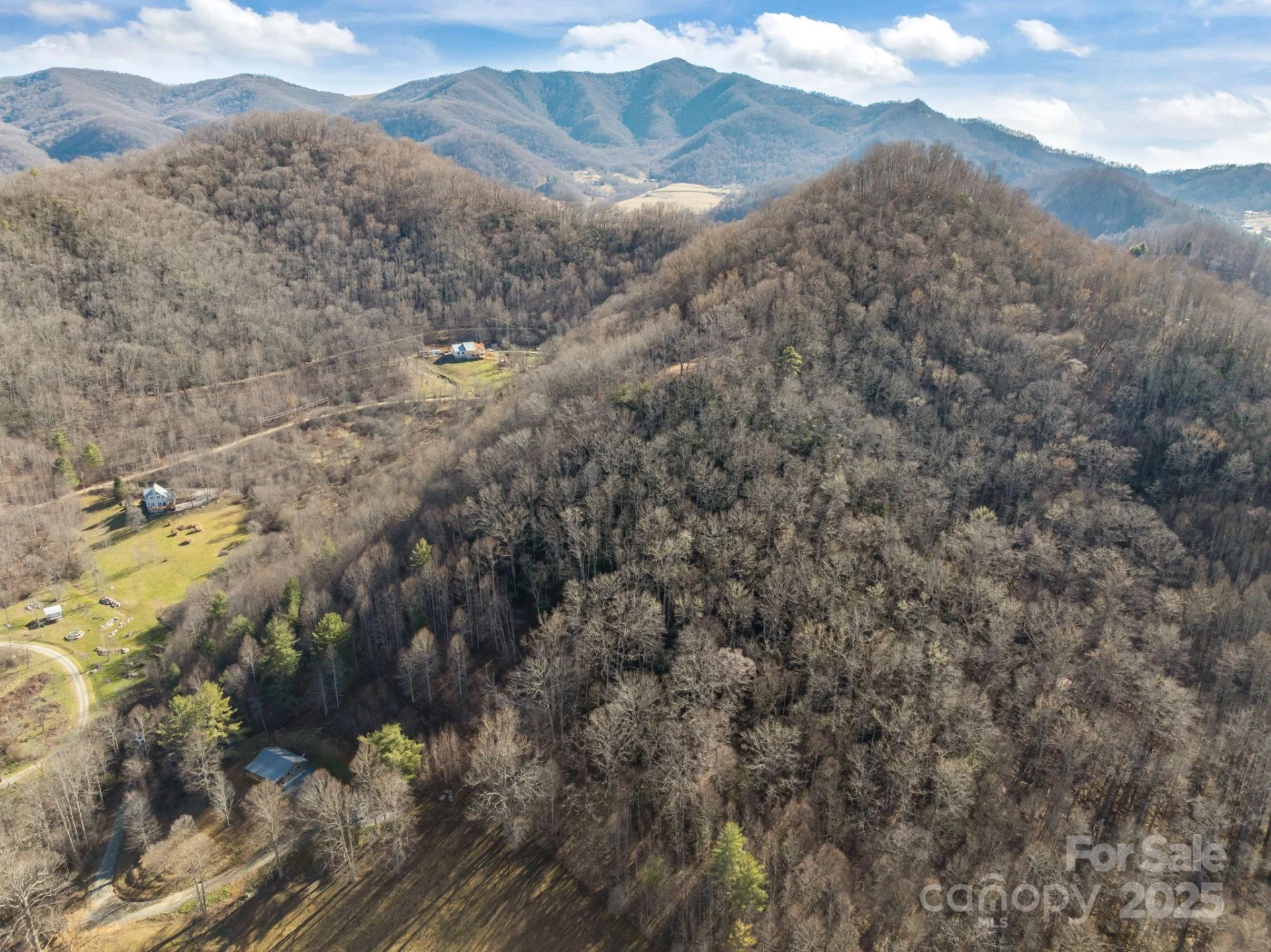 000 Wayward Cove - Photo 4