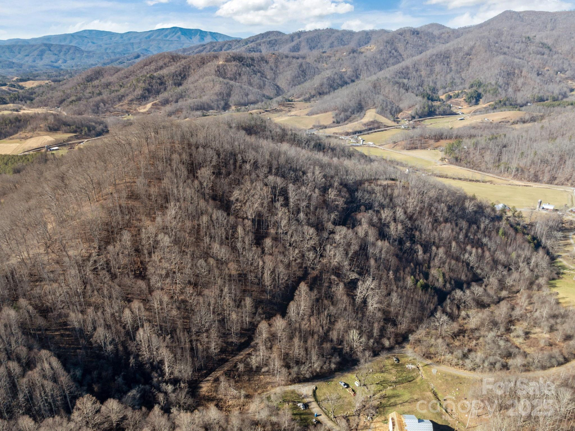 000 Wayward Cove - Photo 6