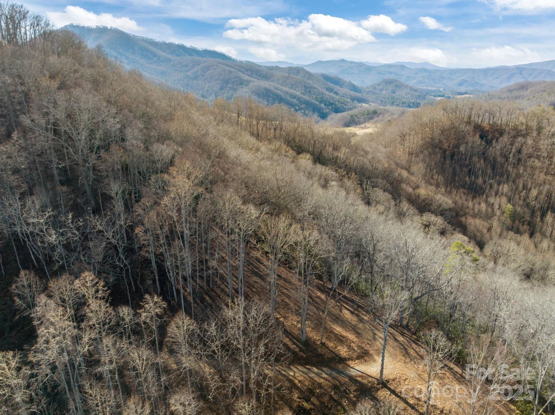 000 Wayward Cove - Photo 8