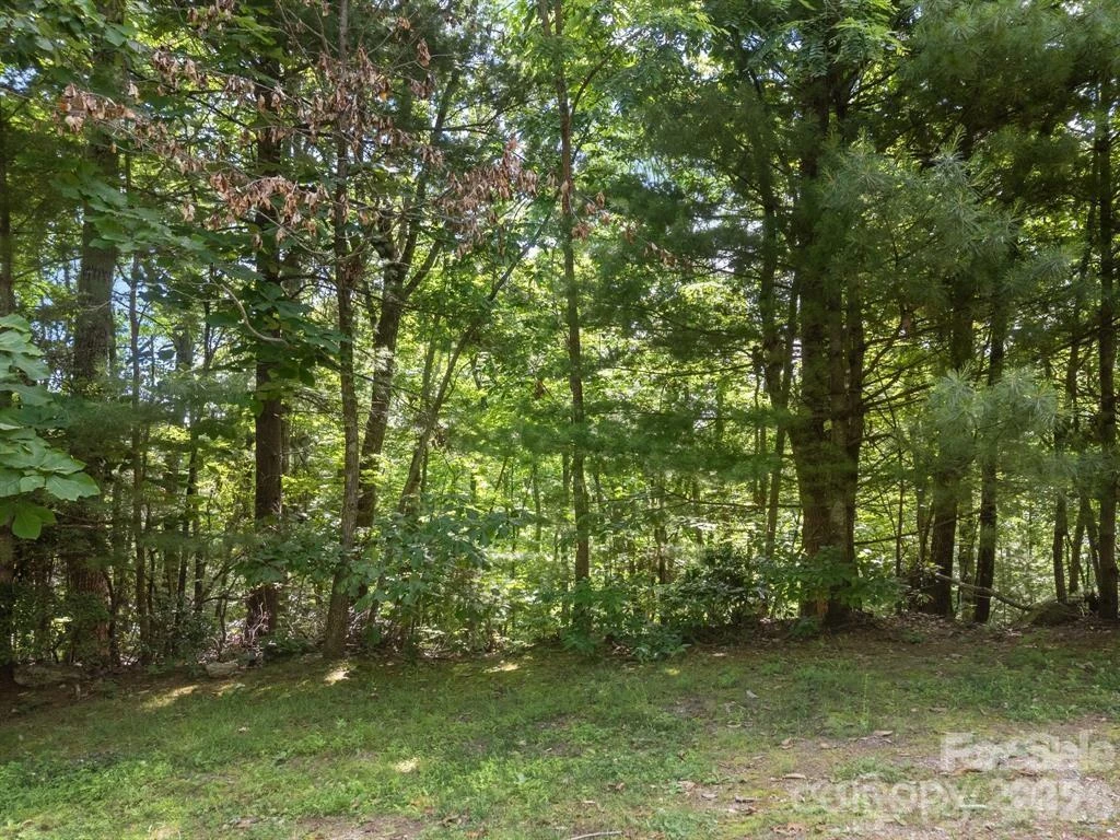360 Kenmure Drive - Photo 4