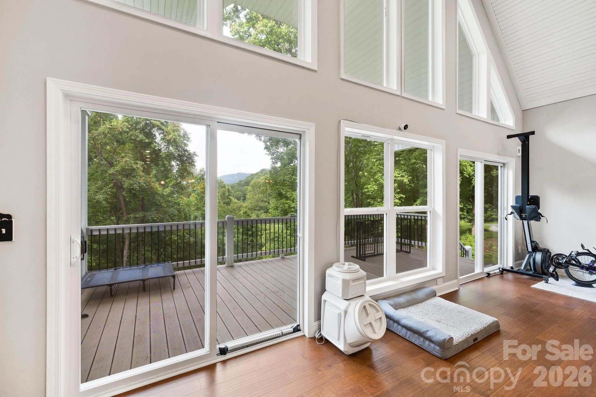 771 Sally Gap Road - Photo 3