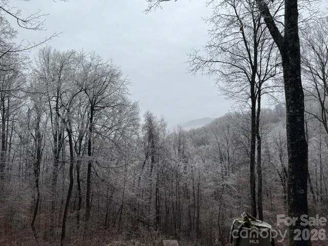 771 Sally Gap Road - Photo 42