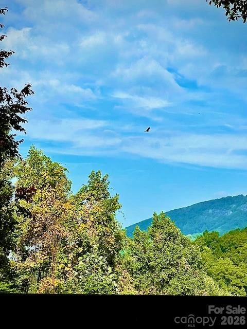 771 Sally Gap Road - Photo 45