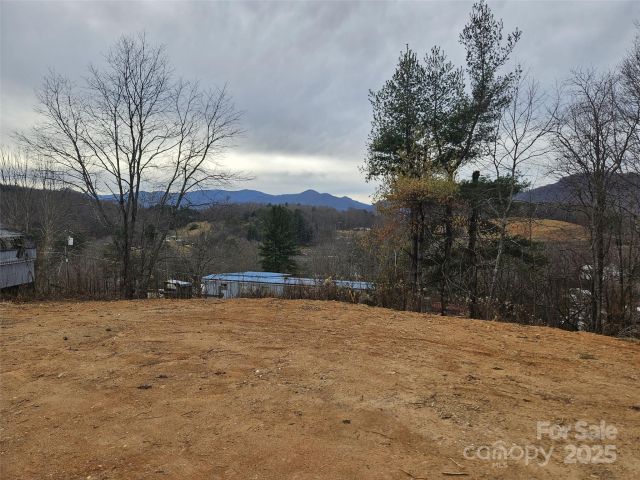 133 Windy Hill Lane, Canton, NC, 28716