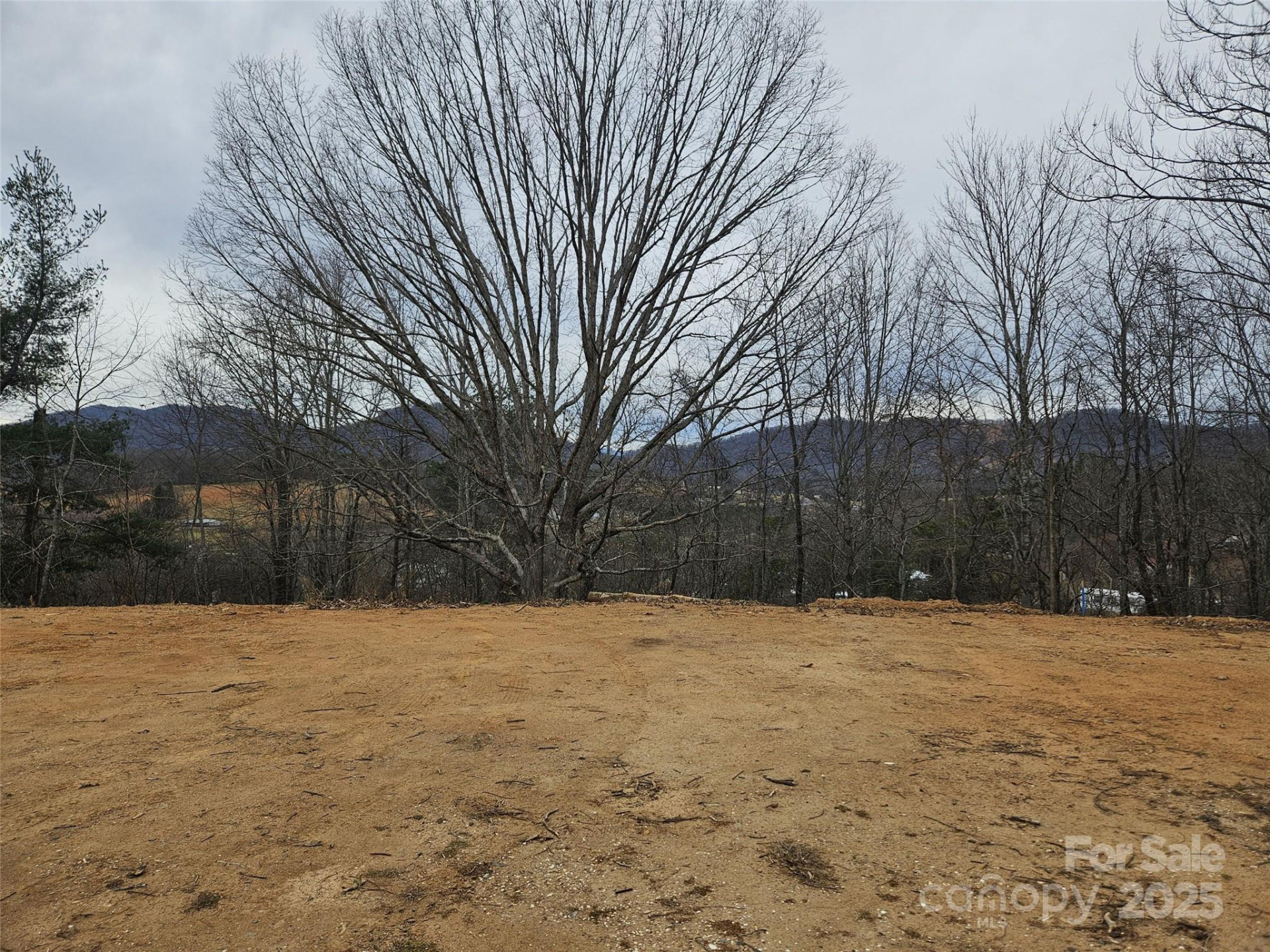 133 Windy Hill Lane - Photo 3