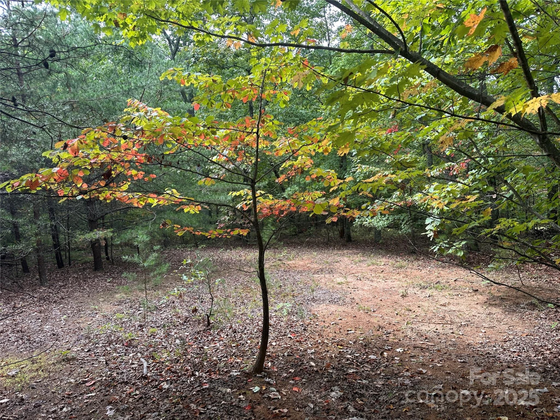 333 Mossy Oak Trail #164