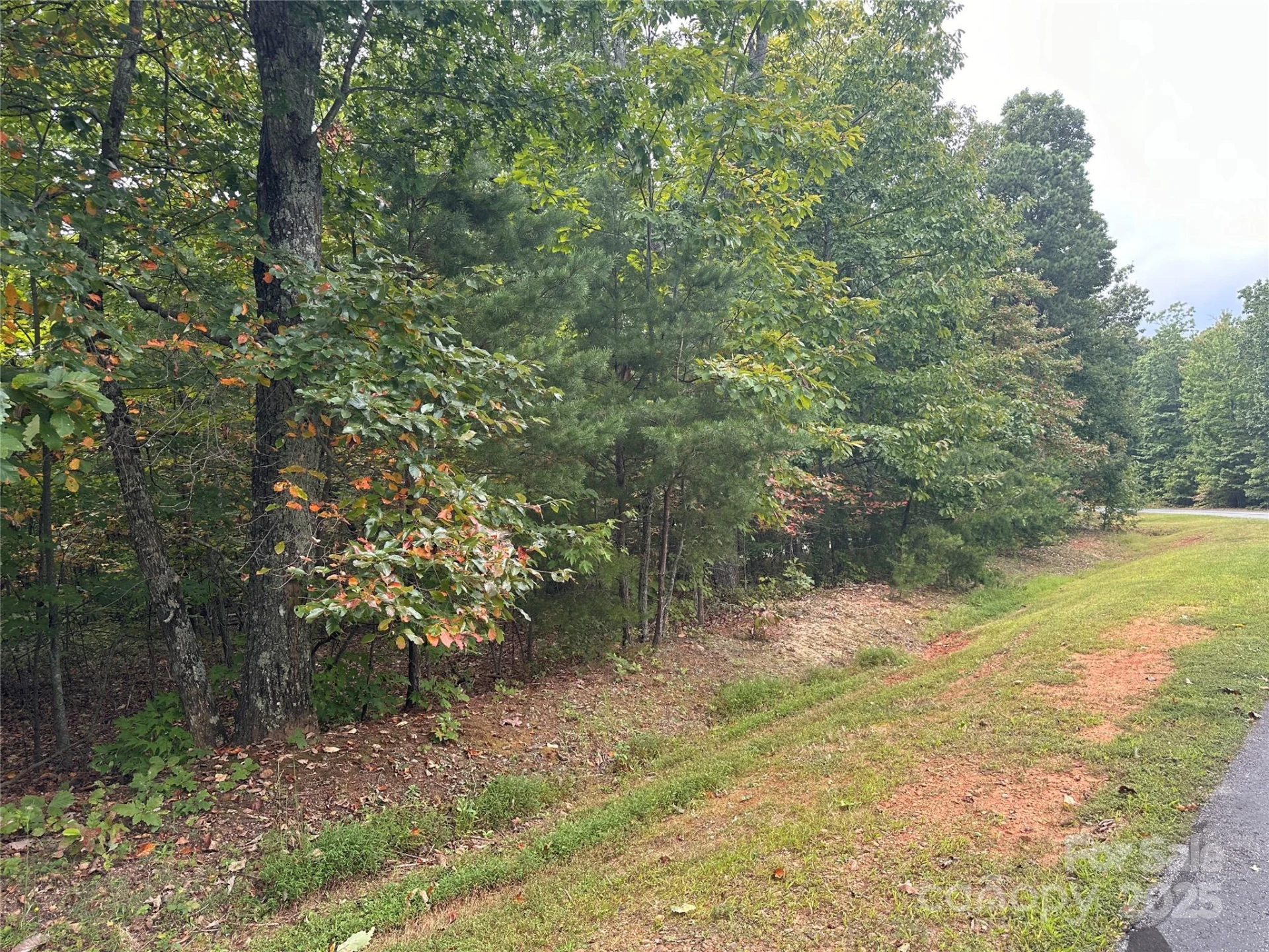 333 Mossy Oak Trail #164 - Photo 12