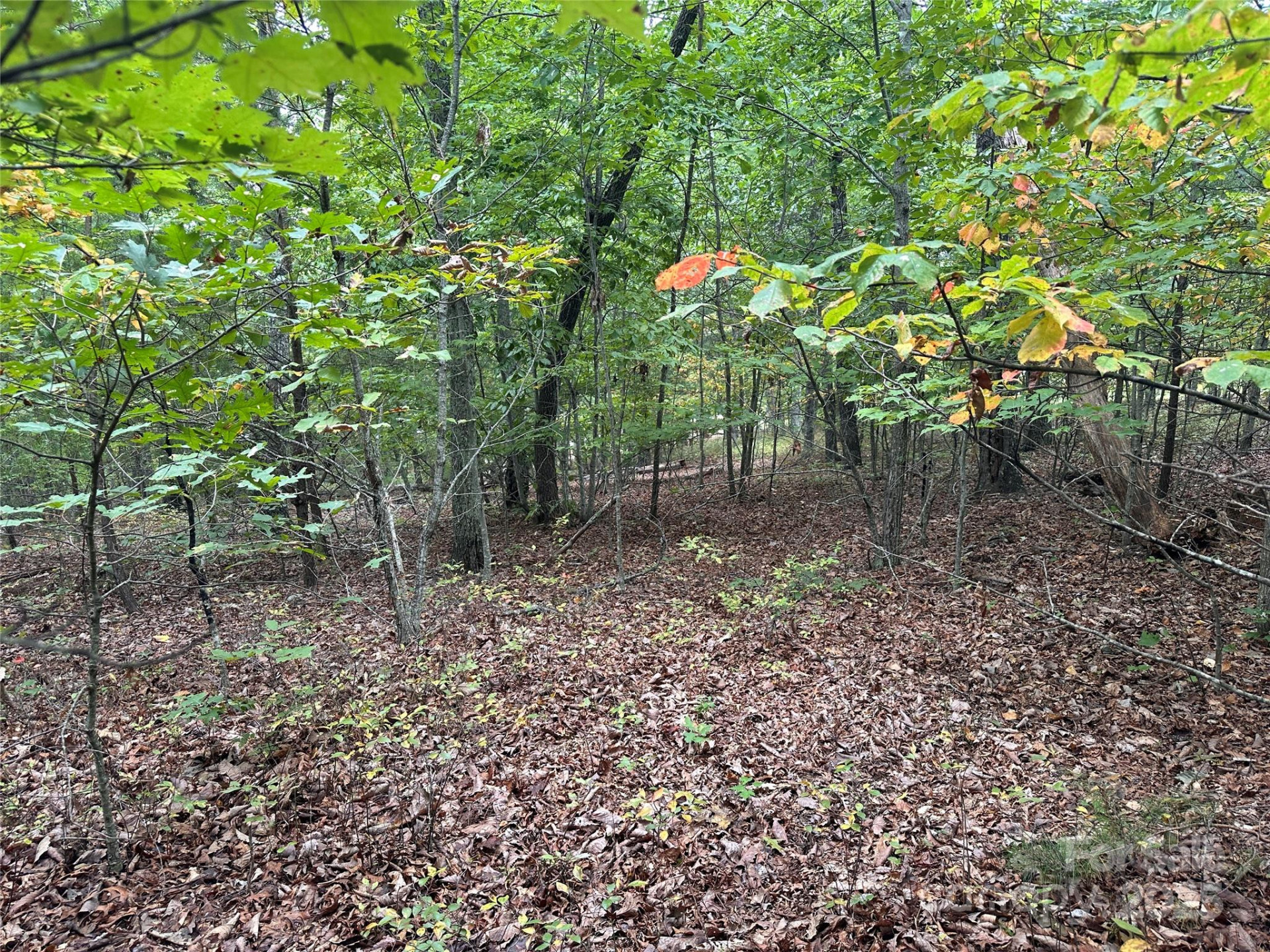 333 Mossy Oak Trail #164 - Photo 5