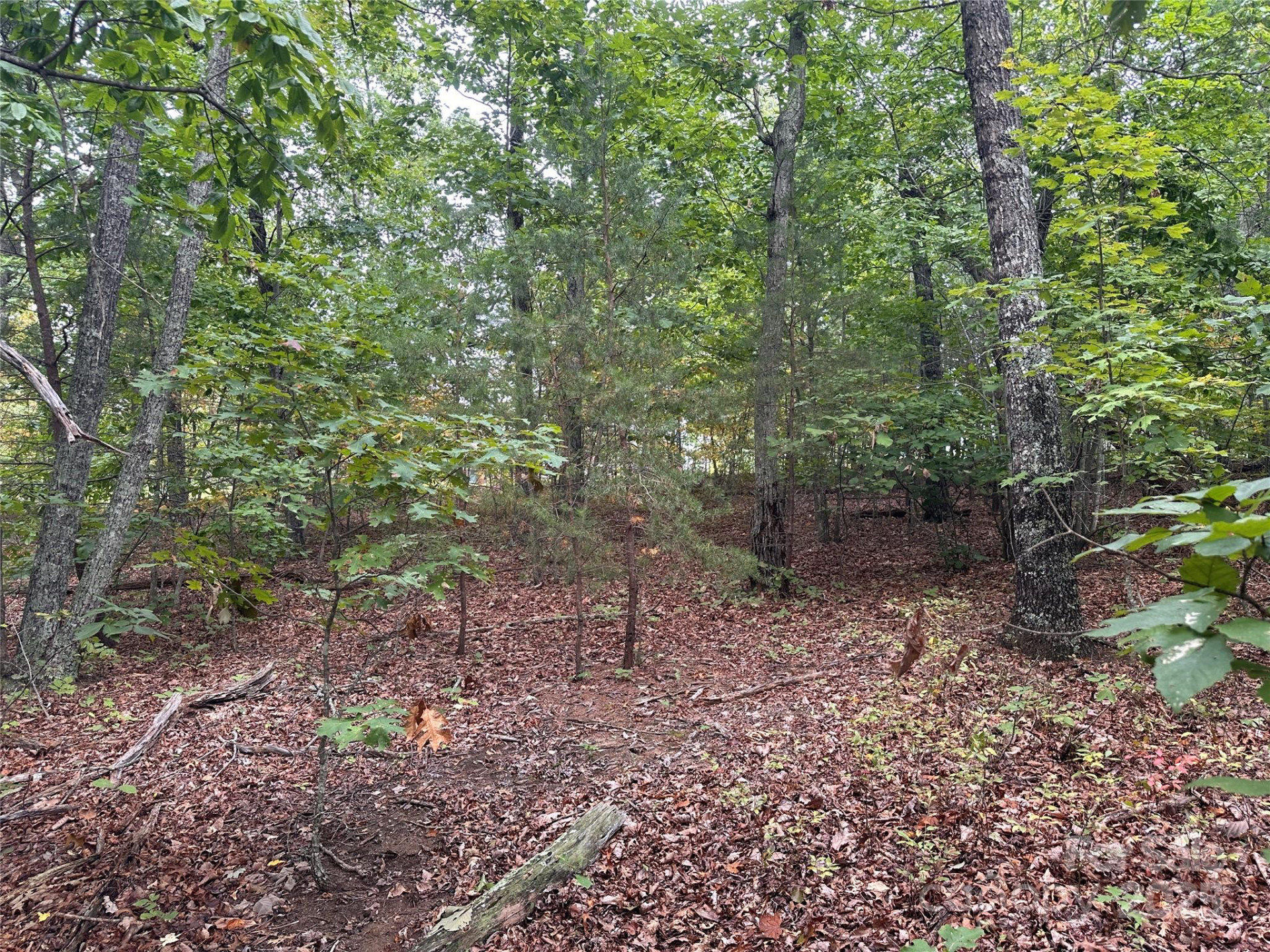 333 Mossy Oak Trail #164 - Photo 8