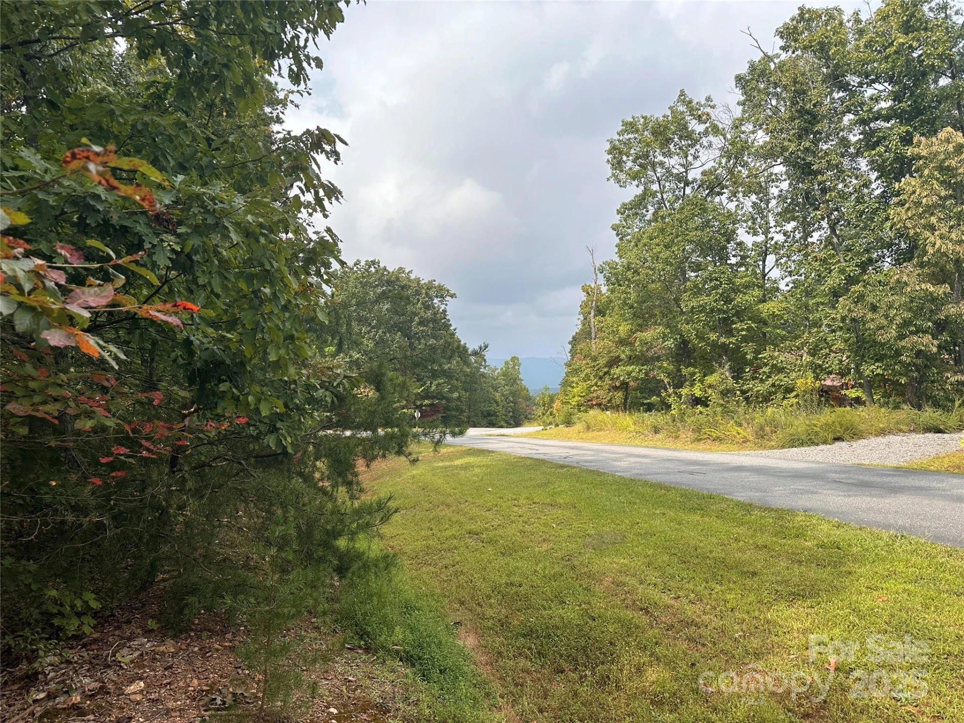 333 Mossy Oak Trail #164 - Photo 10