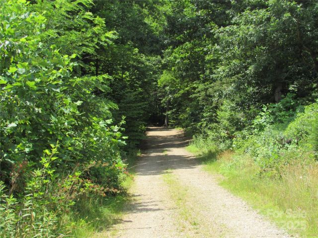 99999 Owen Valley Trail, Black Mountain, NC, 28711