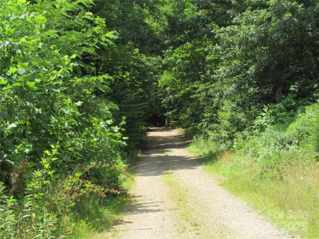 99999 Owen Valley Trail, Black Mountain, NC, 28711