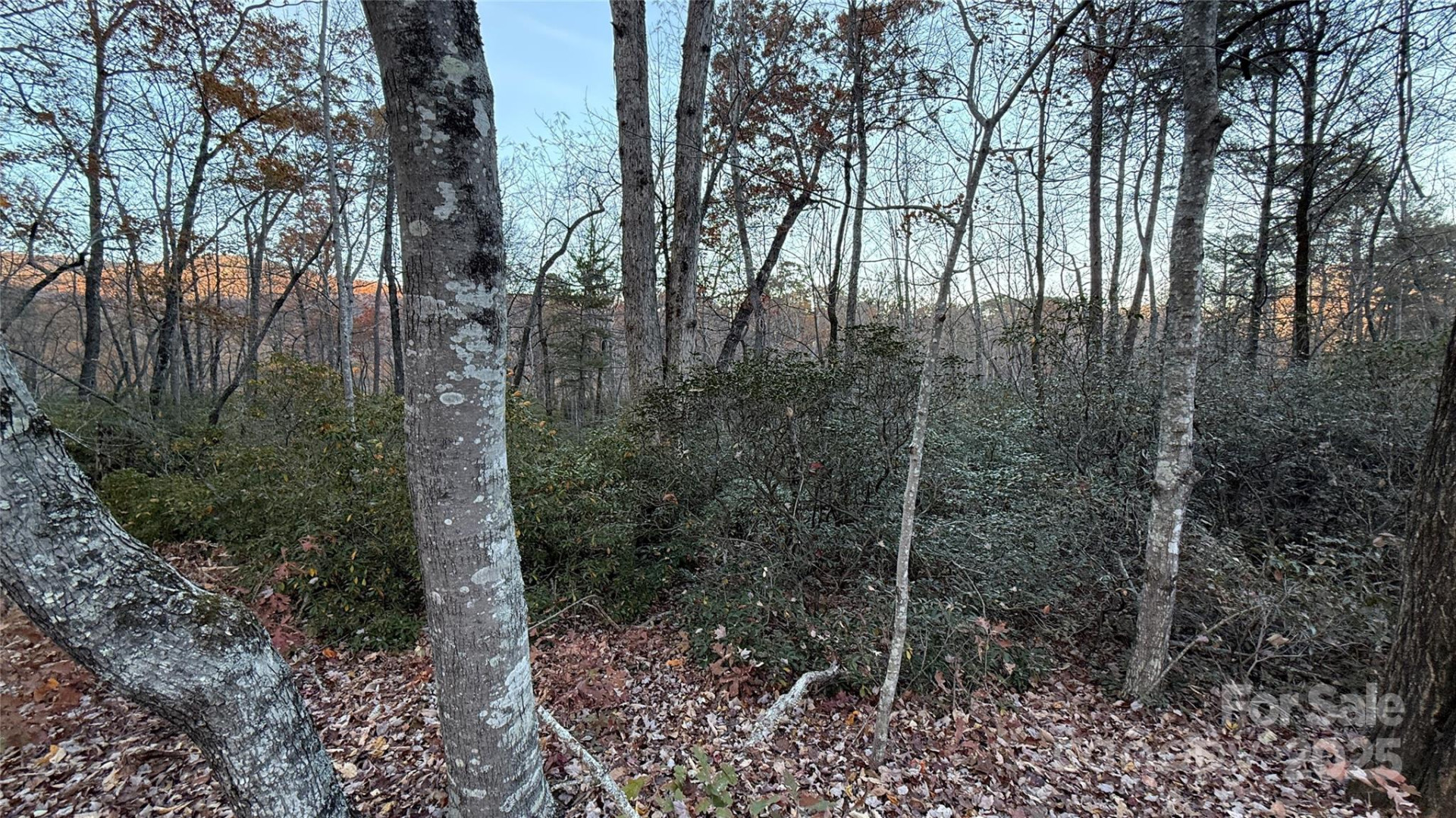 0 Quail Ridge Road - Photo 11